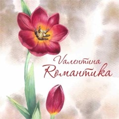 Валентина Романтика