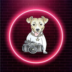 Фотобудка Party Star