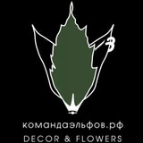 Команда эльфов