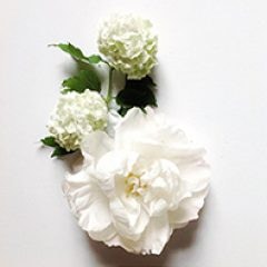 Flower Rivers