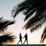 Palm Films