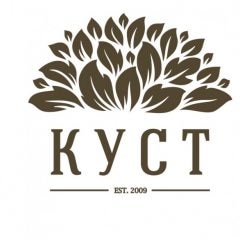 Студия видеографии «КУСТ»