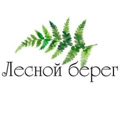 Лесной берег