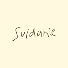 Svidanie Agency