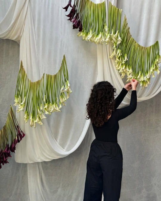 выбираем команду профи