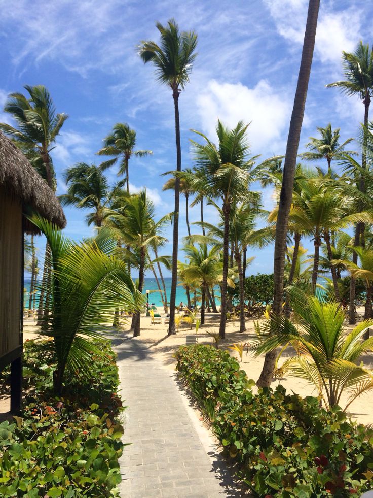 Медовый месяц: райская Доминикана
