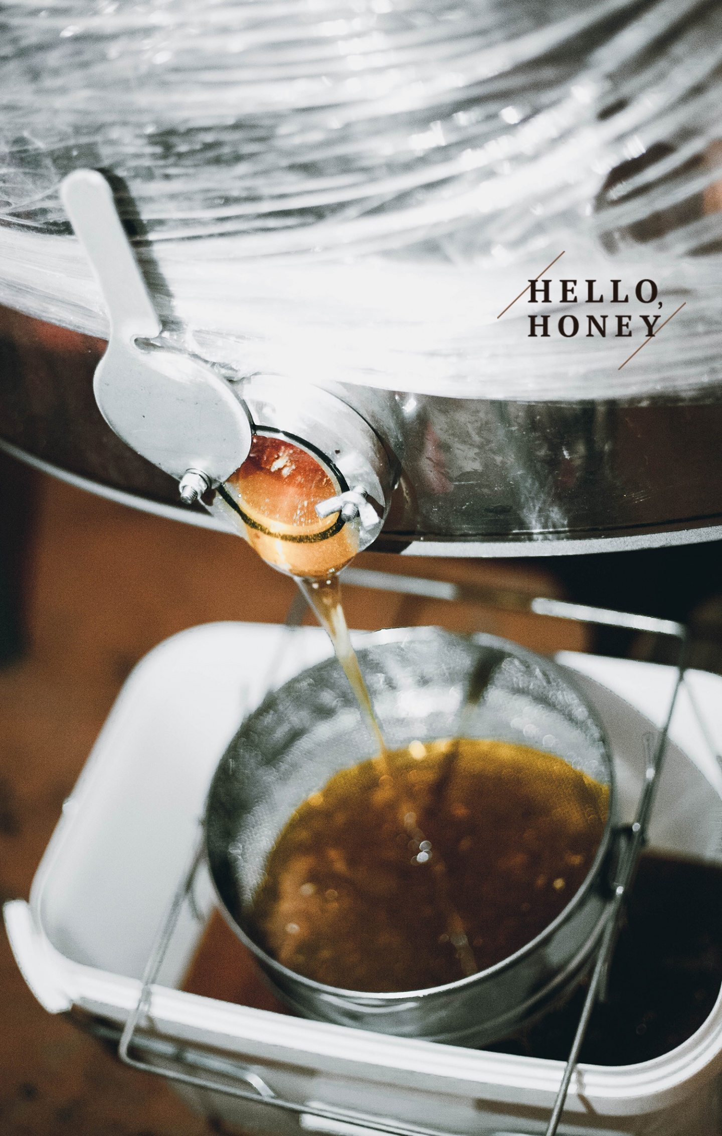Hello honey: история, записанная со слов одной маленькой баночки мёда