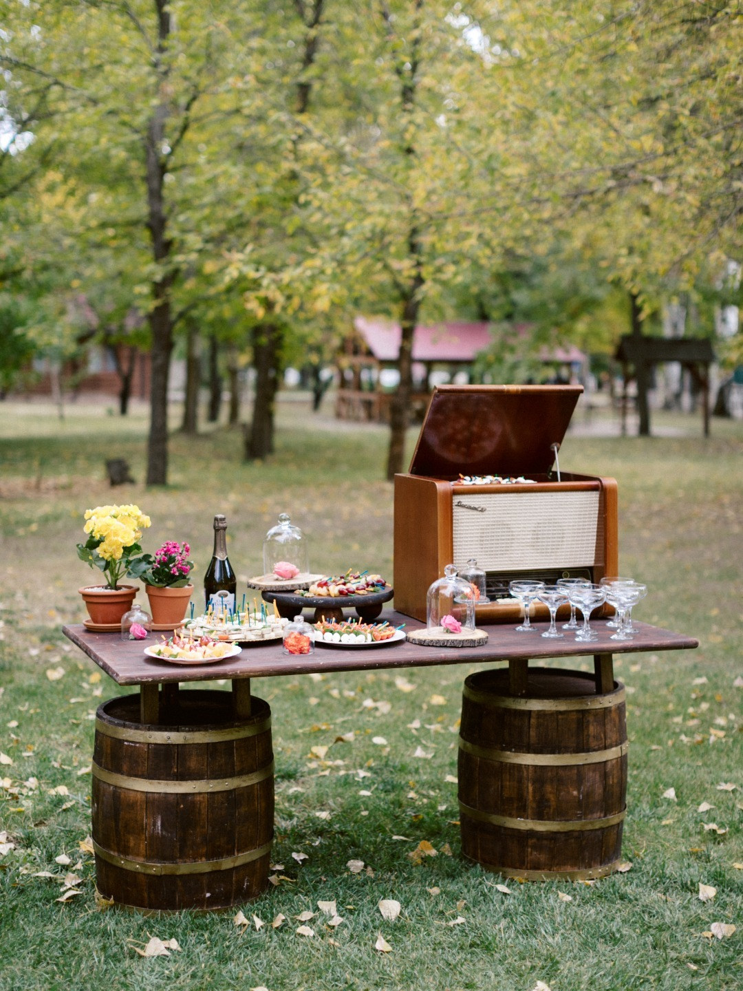 Винтаж и русские традиции: яркая свадьба в парк-отеле