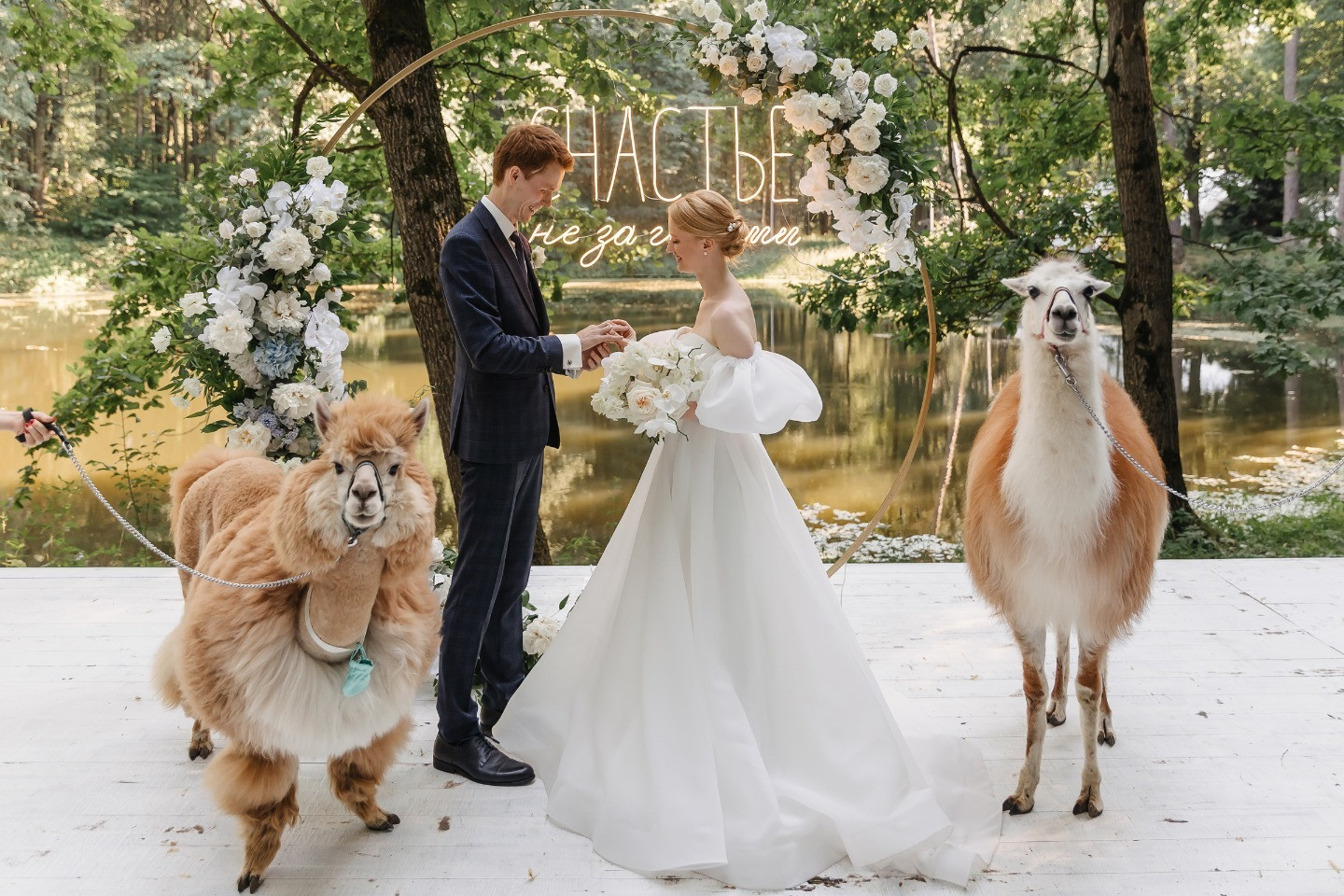 Eco tenderness &amp; alpacas: свадьба в лесу